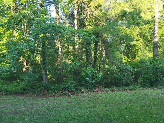 164 Mcclain Cir, Macon, GA 31216 - view of green lawn with a wooded view