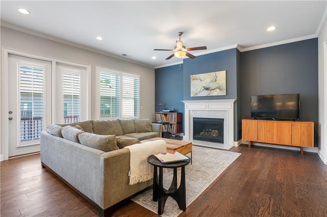 living room with dark wood-type flooring, ceiling fan, and ornamental molding