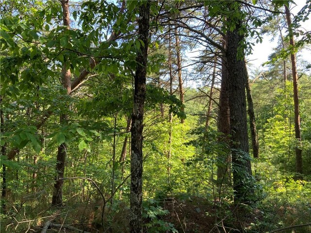 1335 Birch Ln, Ranger GA, 30734 land for sale