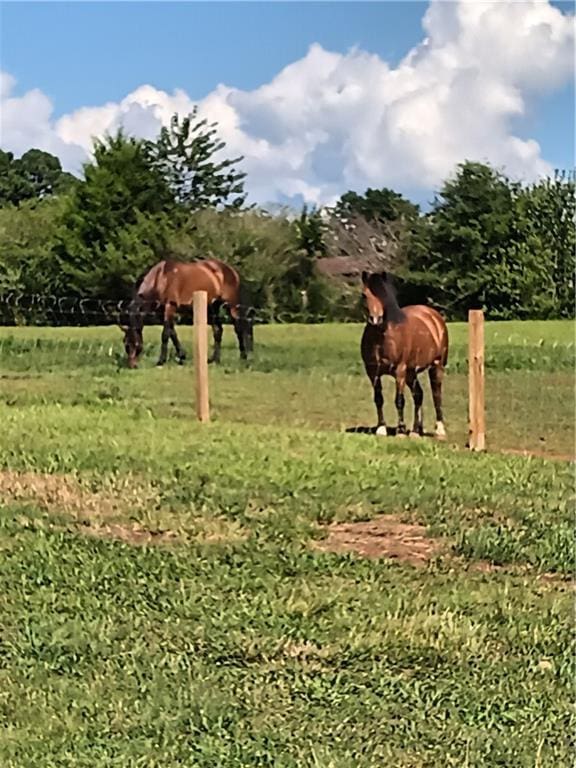 view of community with a yard and a rural view