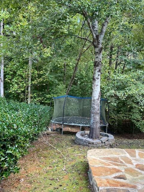 view of yard with a trampoline