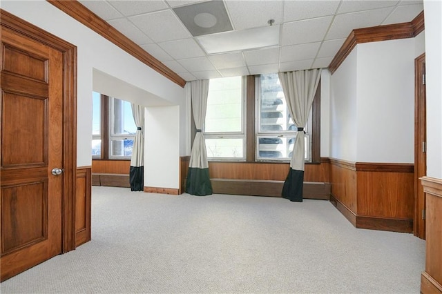 additional living space with a wainscoted wall, wood walls, and light colored carpet