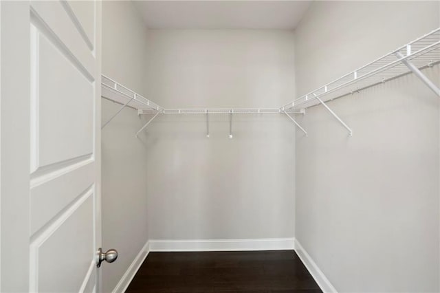 spacious closet with wood finished floors