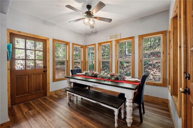 dining area featuring ceiling fan and dark wood-type flooring