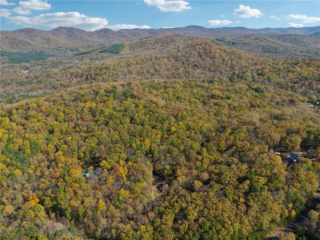 view of mountain feature