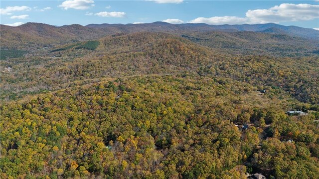 view of mountain feature