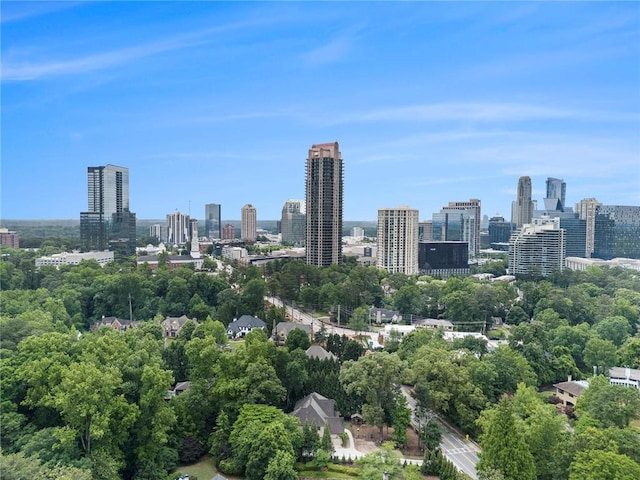 3809 Wieuca Rd NE, Atlanta, GA 30342 - city view featuring a tree filled landscape
