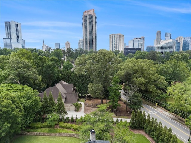 3809 Wieuca Rd NE, Atlanta, GA 30342 - drone / aerial view of a view of skyline