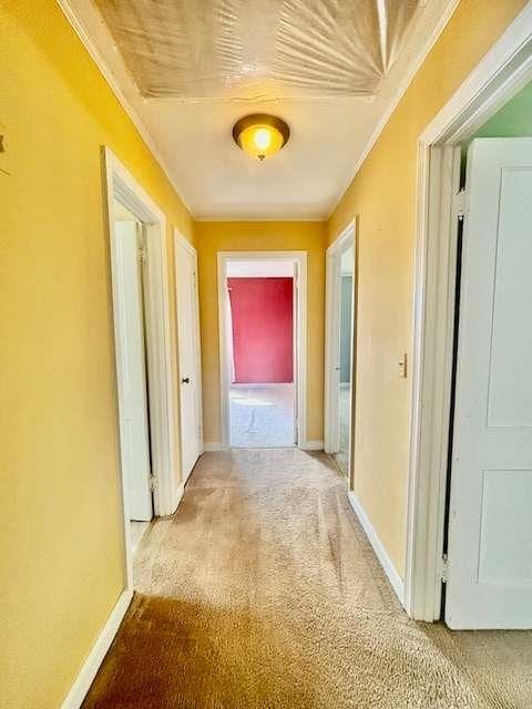 corridor featuring carpet flooring and crown molding