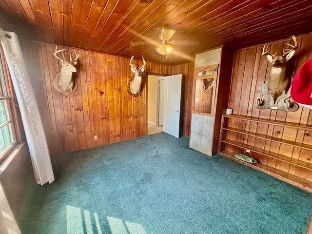 interior space featuring carpet flooring, wooden ceiling, and wood walls