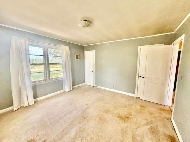 empty room featuring light carpet and crown molding