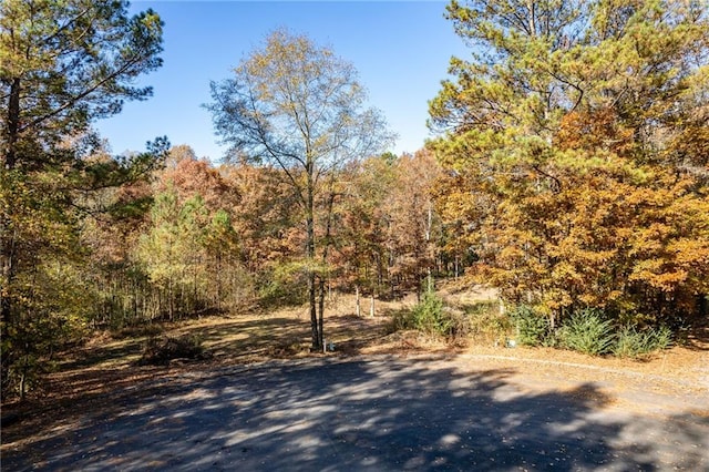 304 S River Place Drive St NW, Calhoun GA, 30701 land for sale