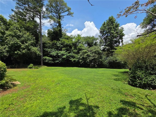 3400 Elm Creek Dr NW, Marietta, GA 30064 - view of green lawn