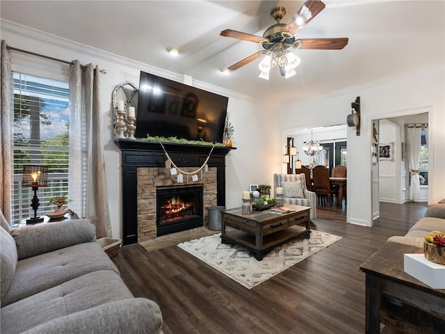 living room with a stone fireplace, ceiling fan with notable chandelier, dark hardwood / wood-style floors, and ornamental molding