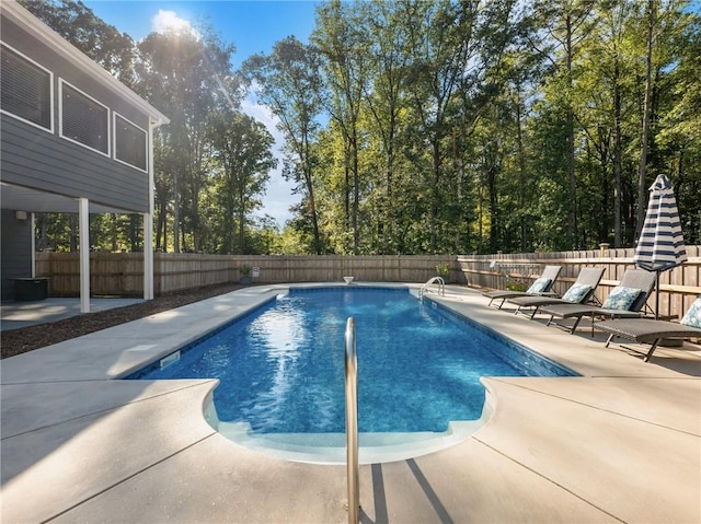 view of pool featuring a patio