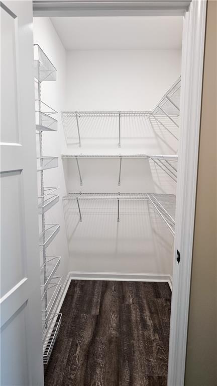 walk in closet featuring wood finished floors