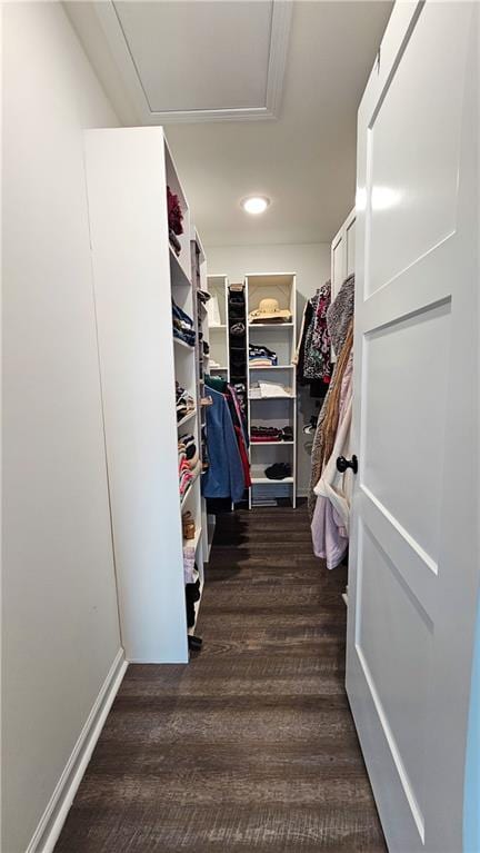 spacious closet featuring dark wood-type flooring and attic access