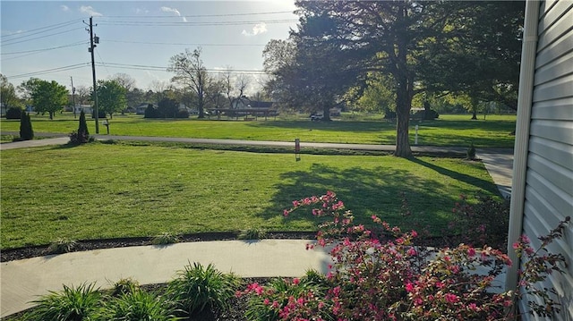 view of yard