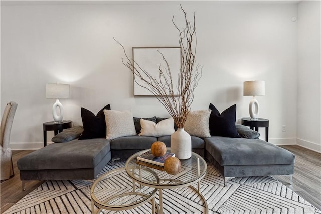 living room with hardwood / wood-style flooring