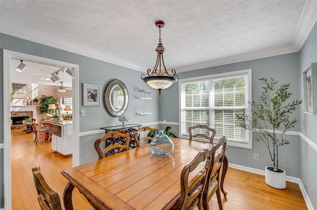 dining space featuring light hardwood / wood-style floors, a textured ceiling, and ornamental molding