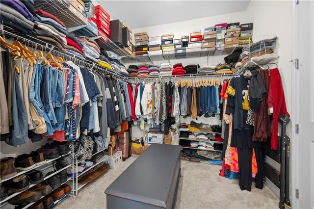 spacious closet featuring carpet