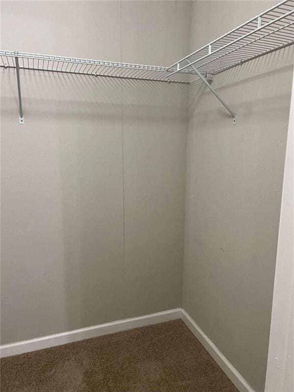 walk in closet with carpet