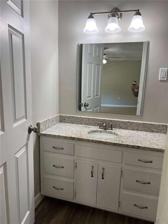 bathroom featuring vanity, ceiling fan, and wood-type flooring