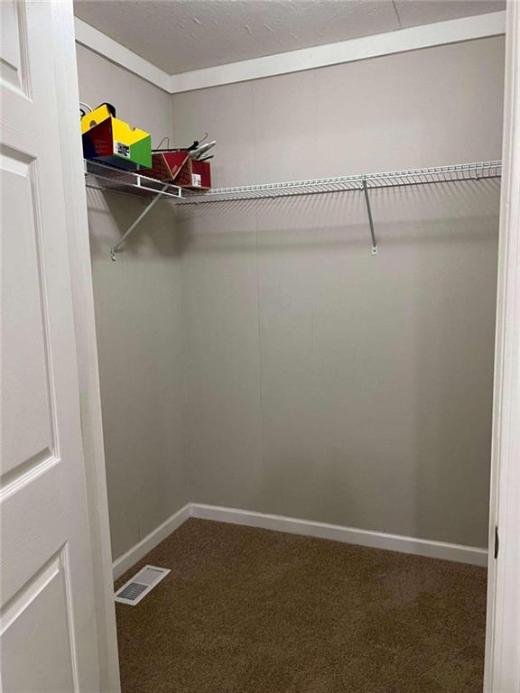 spacious closet with carpet flooring and visible vents