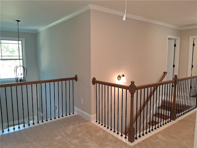 2647 Old Snapping Shoals Rd, Mcdonough, GA 30252 - stairs with carpet, crown molding, and baseboards