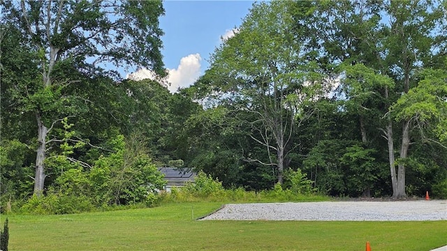 2647 Old Snapping Shoals Rd, Mcdonough, GA 30252 - view of community with a lawn
