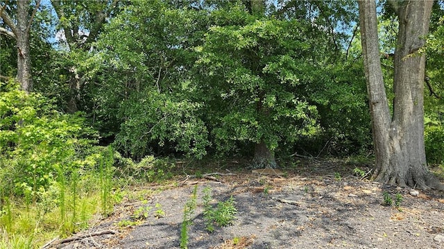 2647 Old Snapping Shoals Rd, Mcdonough, GA 30252 - view of local wilderness