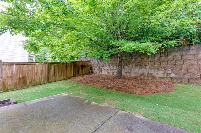 118 Brendylynn Trce, Woodstock, GA 30188 - view of yard featuring a patio area