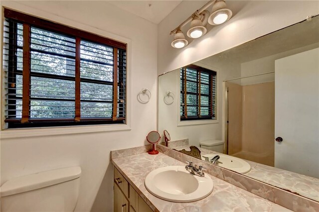 bathroom with a shower, vanity, and toilet