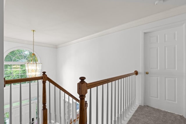3242 Monarch Pine Dr, Peachtree Corners, GA 30071 - staircase featuring ornamental molding and carpet flooring
