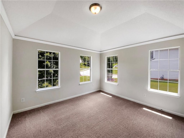 5159 Round Table Dr, Ellenwood, GA 30294 - carpeted empty room with crown molding, vaulted ceiling, and a raised ceiling