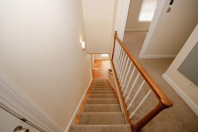 stairs featuring carpet flooring and baseboards