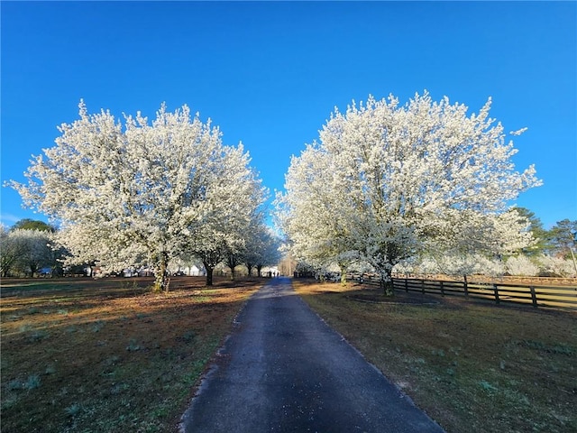 2452 Camp Mitchell Rd, Grayson, GA 30017 - view of asphalt driveway