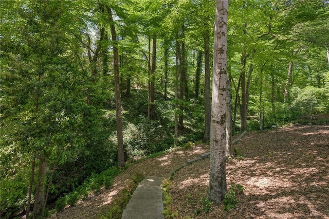 4152 Club Dr NE, Atlanta, GA 30319 - view of local wilderness featuring a forest view