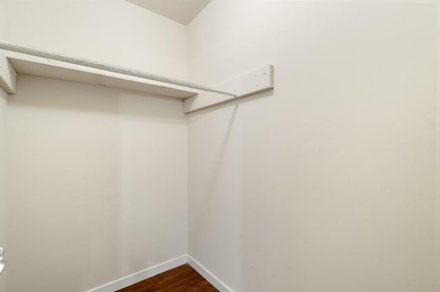 walk in closet featuring dark hardwood / wood-style floors