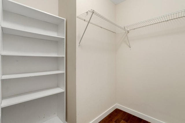 spacious closet featuring wood-type flooring