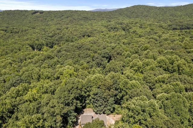 drone / aerial view featuring a mountain view