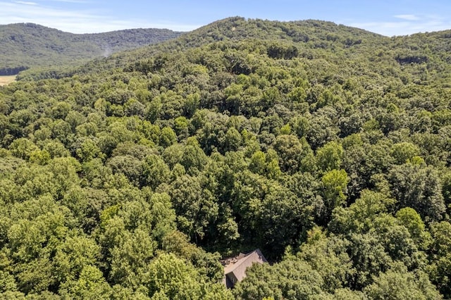 view of mountain feature