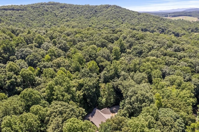 aerial view featuring a mountain view