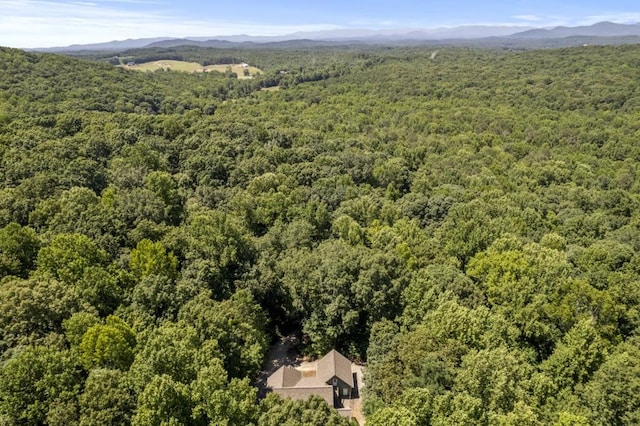 drone / aerial view featuring a mountain view