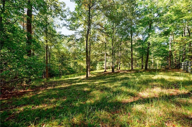 view of local wilderness