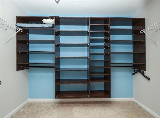 5260 Sherwood Way, Cumming, GA 30040 - spacious closet with carpet flooring