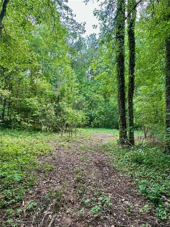 1497 Dogwood Ln, Acworth, GA 30102