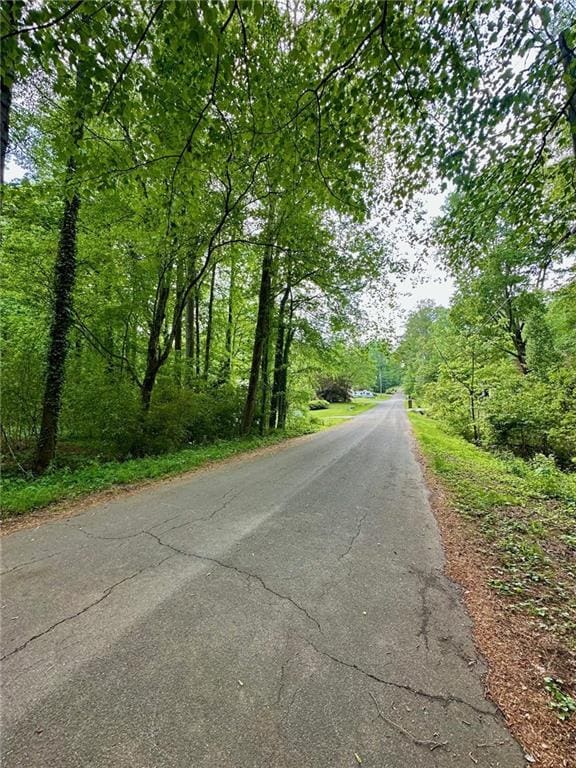 1497 Dogwood Ln, Acworth, GA 30102