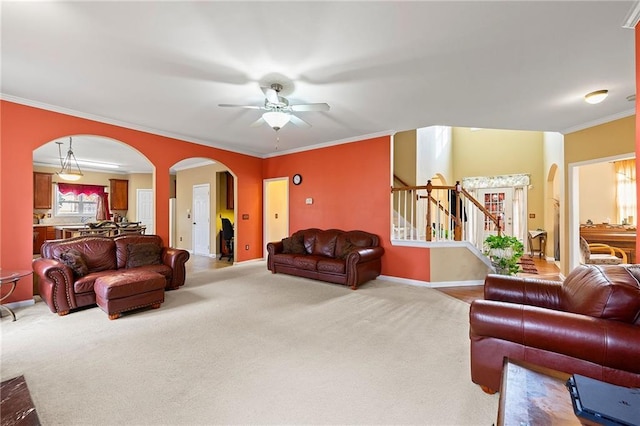 carpeted living room featuring ceiling fan and crown molding