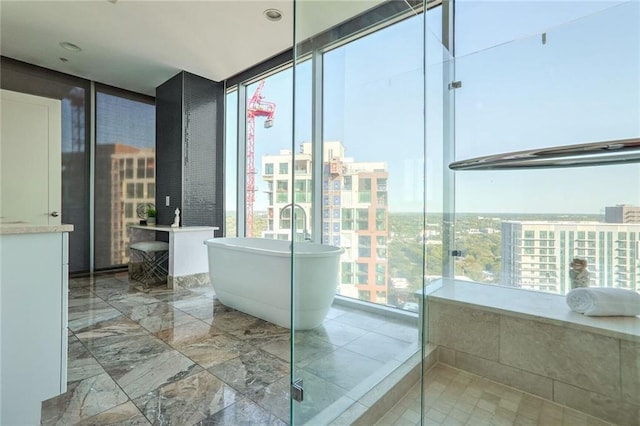 bathroom featuring expansive windows and a washtub